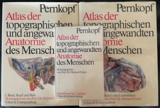 Pernkopf/Ferner:  Atlas der ... Anatomie des Menschen. München 1980.