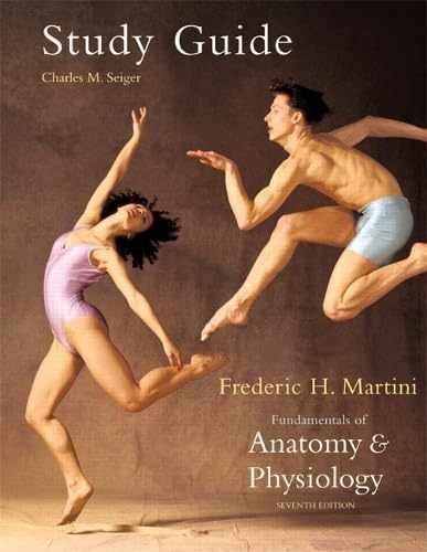 Fundamentals anatomy - fundamentals,