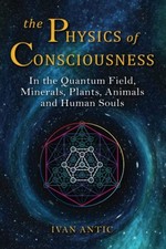 The Physics of Consciousness