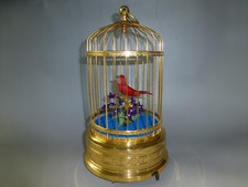 RARA GABBIA UCCELLINO CANTANTE