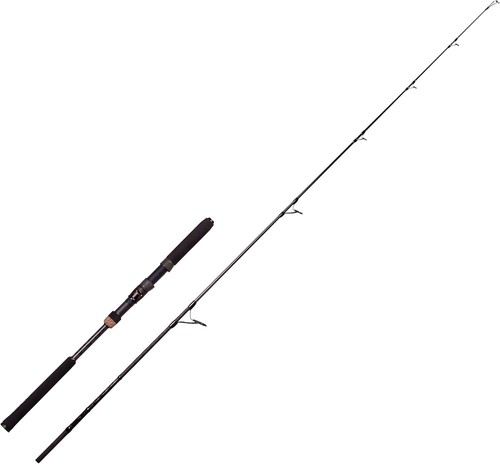 Canna spinning abu - canna,