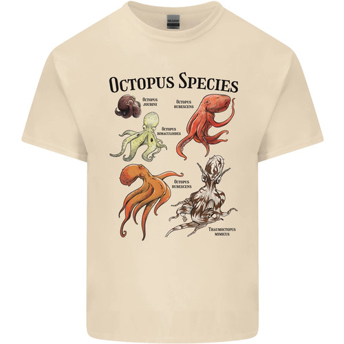 Shirt cotone da - in,