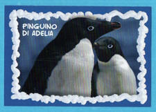 AMICI CUCCIOLOTTI