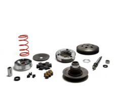 MALOSSI 6119262 GRUPPO