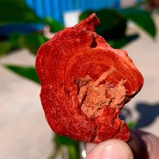 Campioni minerali marini 10G