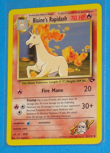 Blaine rapidash 132 gd - 33/132,