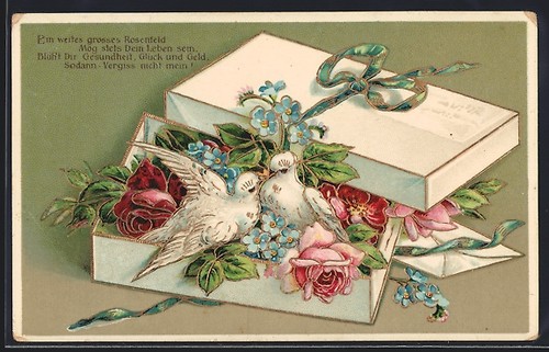 Cartolina colombe bianche - cartolina,