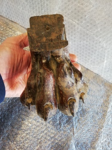 Antica zampa leone legno - antica, di