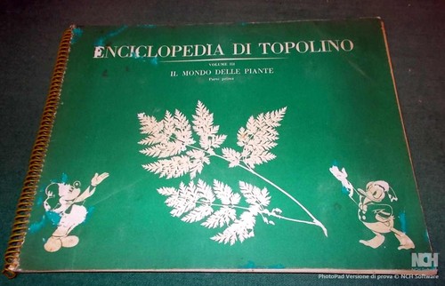 Album enciclopedia topolino - album,