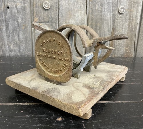 Antico primitivo champion - antico,