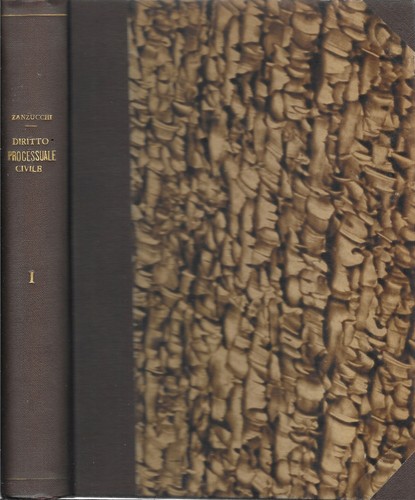 Diritto processuale civile - diritto,