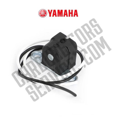 Yamaha pick statore r1 - yamaha,