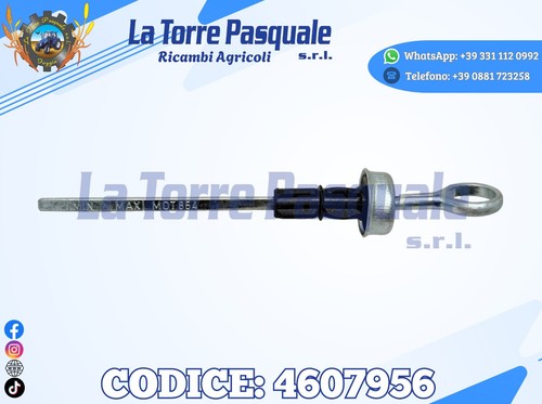 4607956 asta livello olio - 4607956,