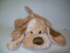 SV 74-CANE cucciolo PEDRO