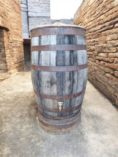 Whisky galloni barile - 40,