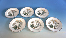 Vintage Villeroy & Boch Botanica 6 piatti da antipasto piatto Carum 17 cm (F025-1061