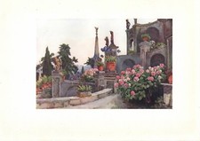 ISOLA BELLA LAGO MAGGIORE giardini in fiore STAMPA ANTICA 1905 Antique print