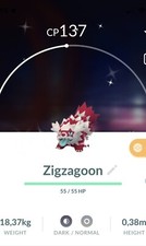 Shiny galarian zigzagoon - galarian,