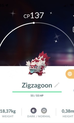 Shiny galarian zigzagoon - galarian,