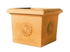 VASO VASI PER PIANTE VASI TELCOM QUADRI CON ROSONE CURA DELLE PIANTE