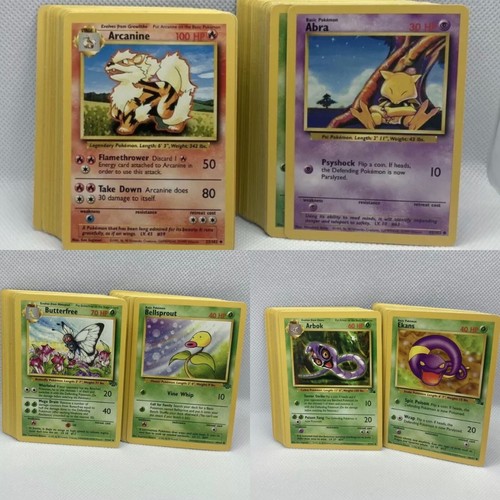 Set base completo jungle - set,