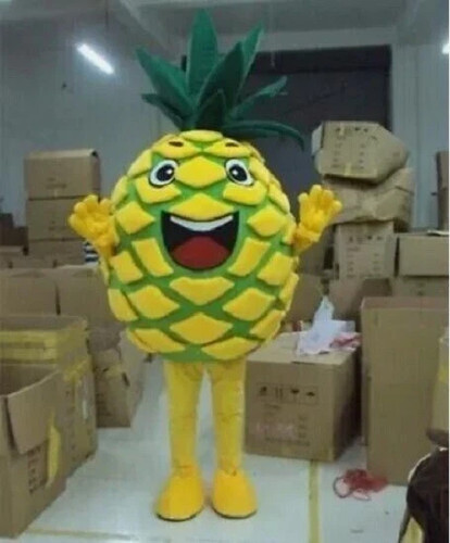 Costume mascotte ananas - costume,