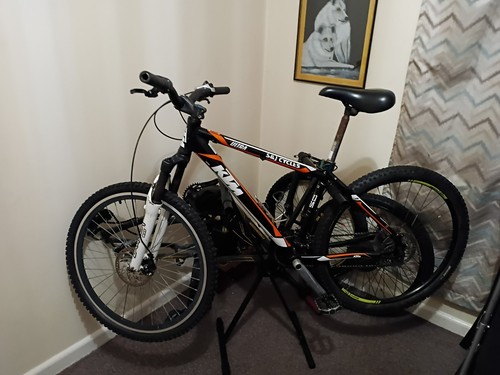 Ktm myroon prestige mountain - myroon,