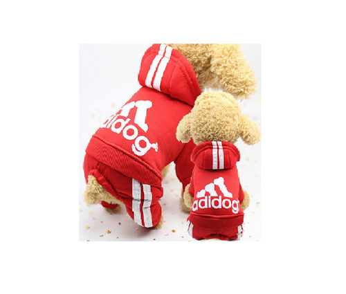 Maglione per cani giacca per