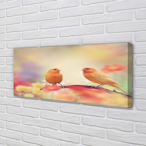 Quadro tela tulup 125x50 - quadro, su
