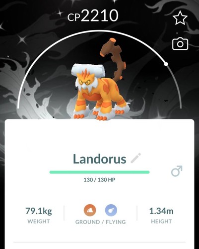 Sfondo shiny landorus therian - shiny,