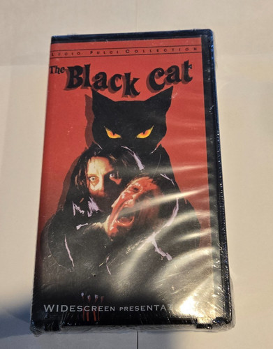 The black cat - cat, lucio