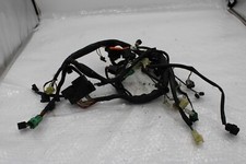 Cablaggio principale cablaggio