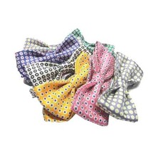 Papillon bimbo a pallini