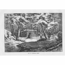 NORVEGIA Capanna in una