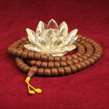 Semi di Mala Bodhi Marrone