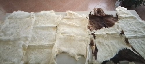 Tappeti pelli agnello sardo - tappeti, 5