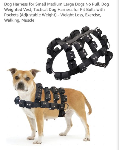 Imbracatura per cani gilet - imbracatura,