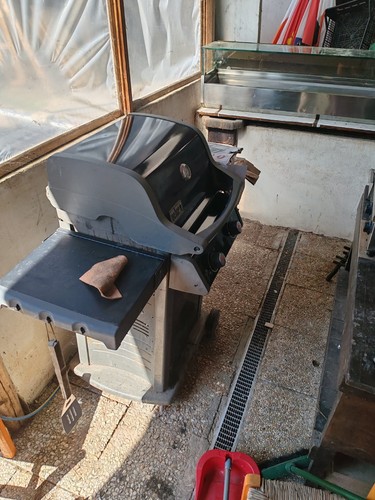 Weber spirit 210 gbs - ii,