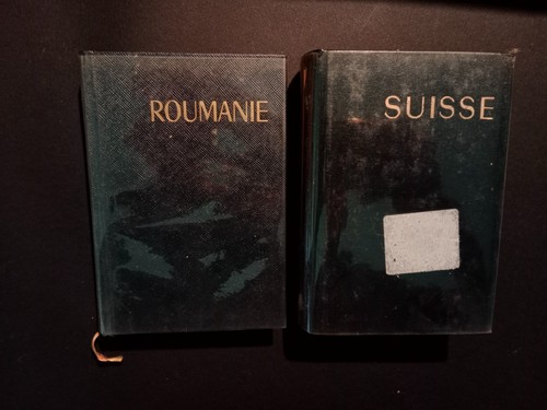 Guide bleu roumanie - guide, roumanie,