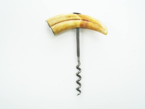 Antique boars tooth - antique, corkscrew