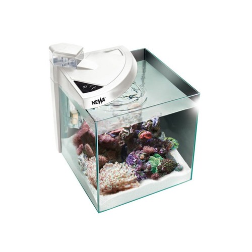 Acquario newa more - more, 28