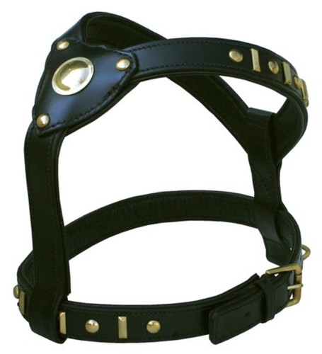 Pettorina pelle cavaliere - pettorina,