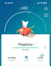 Vetrina Pokestop Magikarp XXL Pokemon Gen1 Go Pokémon Gyarados Kanto