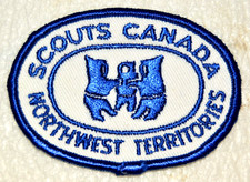 Distintivo uniforme scout