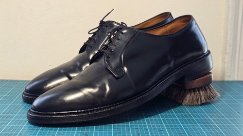 Blucher derby alden black - blucher,