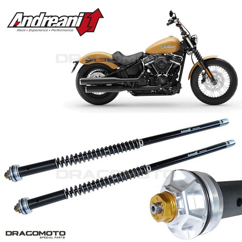 Harley davidson softail street - harley-davidson,