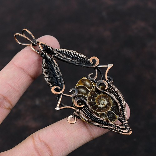 Ammonite fossile rame regalo