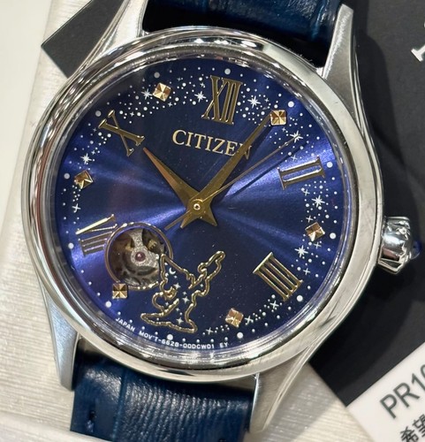 Nuovissimo citizen disney - nuovissimo,
