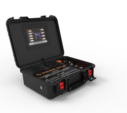 Equine shock wave therapy - shock,