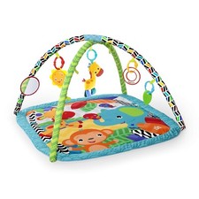Zippy Zoo Palestra Attività